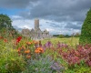 Quin Friary, Co. Clare
